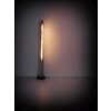 Globo STATT Floor Lamp LED black, 1-light source