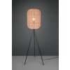 Trio RUNA Floor Lamp black, 1-light source
