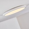 Siguna Ceiling Light LED white, 1-light source