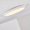 Siguna Ceiling Light LED white, 1-light source