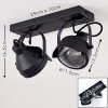 RAHWAY Ceiling Light black, 2-light sources