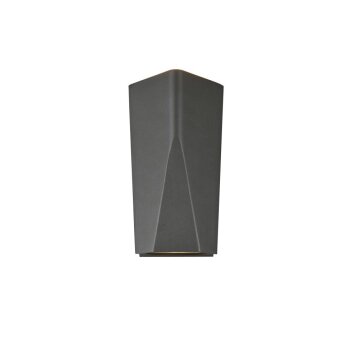 Trio Leuchten TAY Outdoor Wall Light LED anthracite, 2-light sources