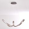 Woyens Pendant Light LED stainless steel, 1-light source