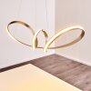 Woyens Pendant Light LED stainless steel, 1-light source