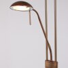 Steinhauer MEXLITE Floor Lamp LED bronze, 2-light sources