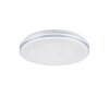 Ceiling Light Paul Neuhaus Q-BENNO LED chrome, 1-light source, Remote control