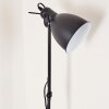 TIMOLA Floor Lamp black, 1-light source