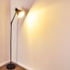 TIMOLA Floor Lamp black, 1-light source
