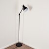 TIMOLA Floor Lamp black, 1-light source