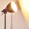 TIMOLA Floor Lamp black, 1-light source