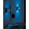 Paul Neuhaus Q-Fisheye Wall Light LED stainless steel, 2-light sources, Remote control, Colour changer