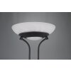 Reality ORSON Floor Lamp LED black, 2-light sources