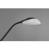 Reality ORSON Floor Lamp LED black, 2-light sources