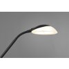 Reality ORSON Floor Lamp LED black, 2-light sources