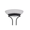 Reality ORSON Floor Lamp LED black, 2-light sources