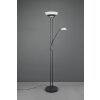Reality ORSON Floor Lamp LED black, 2-light sources