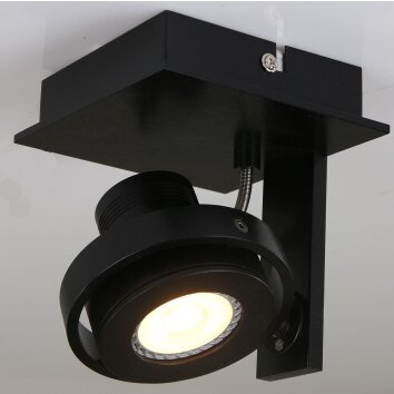 Steinhauer MEXLITE Ceiling light black, 1-light source