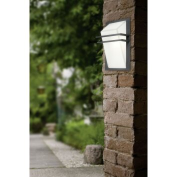 Eglo PARK outdoor wall light anthracite, 1-light source