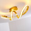 Woyens Ceiling Light LED gold, 1-light source
