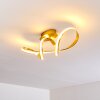 Woyens Ceiling Light LED gold, 1-light source