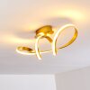 Woyens Ceiling Light LED gold, 1-light source