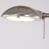 Steinhauer MEXLITE Floor Lamp LED stainless steel, 1-light source