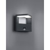 Trio Ganges outdoor wall light LED anthracite, 1-light source, Motion sensor