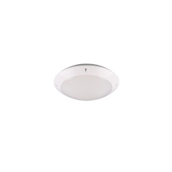 Reality CAMARO Outdoor Ceiling Light white, 1-light source