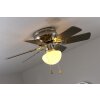 Globo UGO fan stainless steel, matt nickel, 1-light source