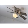 Globo UGO fan stainless steel, matt nickel, 1-light source