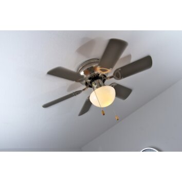 Globo UGO fan stainless steel, matt nickel, 1-light source