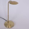Steinhauer ZENITH Table Lamp LED brass, 1-light source