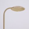 Steinhauer ZENITH Table Lamp LED brass, 1-light source