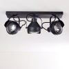 RAHWAY Ceiling Light black, 3-light sources