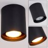 AWUNA Ceiling Light black, 1-light source