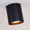 AWUNA Ceiling Light black, 1-light source