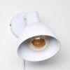 Caney Wall Light white, 1-light source