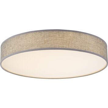 Globo Paco Ceiling Light LED white, 1-light source