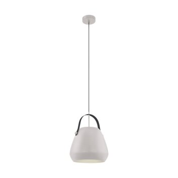 EGLO BEDNALL Pendant Light grey, black, 1-light source