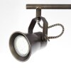 Spotlight Brilliant Seed Dark wood, black, 4-light sources