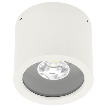 Albert 2319 Ceiling Light LED white, 1-light source