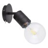 Globo HERMINE Spotlight black, 1-light source