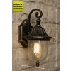 Rabalux Sydney outdoor wall light transparent, clear