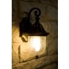 Rabalux Sydney outdoor wall light transparent, clear
