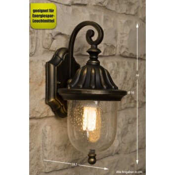 Rabalux Sydney outdoor wall light transparent, clear