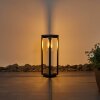 Baoshan pedestal light black, 1-light source