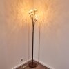 KITEE floor lamp brown, 6-light sources
