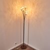KITEE floor lamp brown, rust-coloured, 6-light sources
