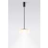 Serien Lighting CURLING Pendant Light LED aluminium, transparent, clear, 1-light source