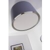 Brilliant Clarie ceiling light stainless steel, 1-light source